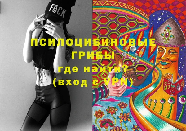 гашик Гусиноозёрск