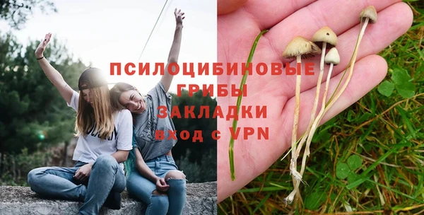 синтетический гашиш Гусь-Хрустальный