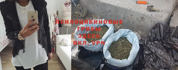гашик Гусиноозёрск