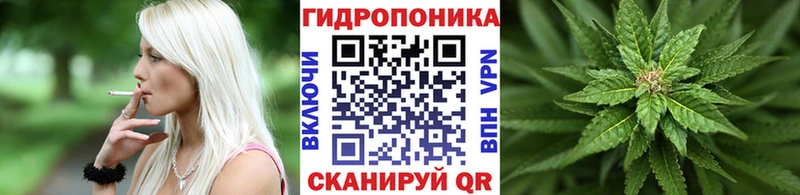 Канабис план  omg tor  Иноземцево 